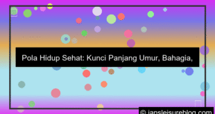 gambar pola hidup sehat